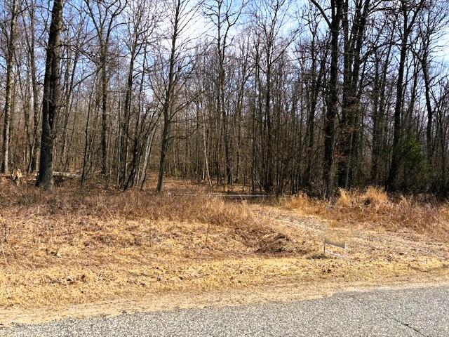 V/l East Prairie Road Midland, MI 48640 - Photo 60 of 60 IMG_7587