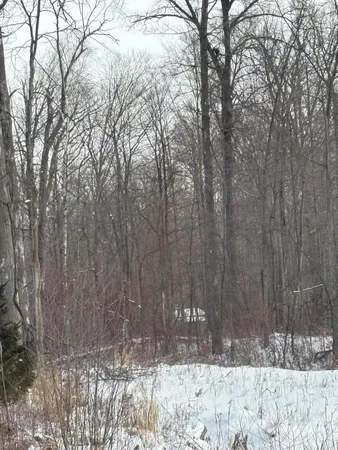 $600,000 | West Prairie Road, Midland, MI 48640