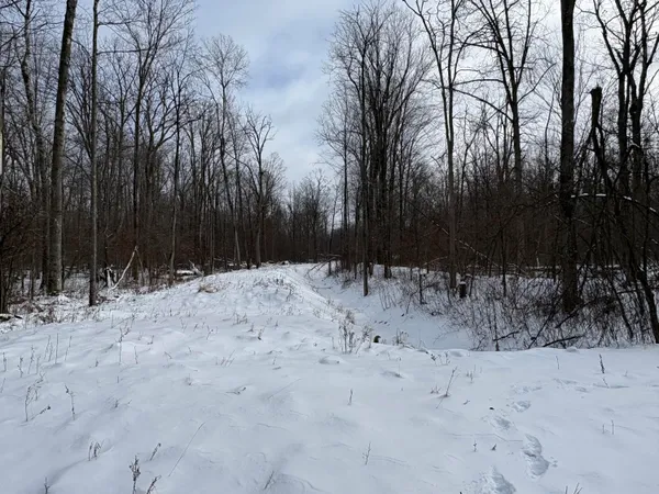 $600,000 | V/l East Prairie Road, Midland, MI 48640