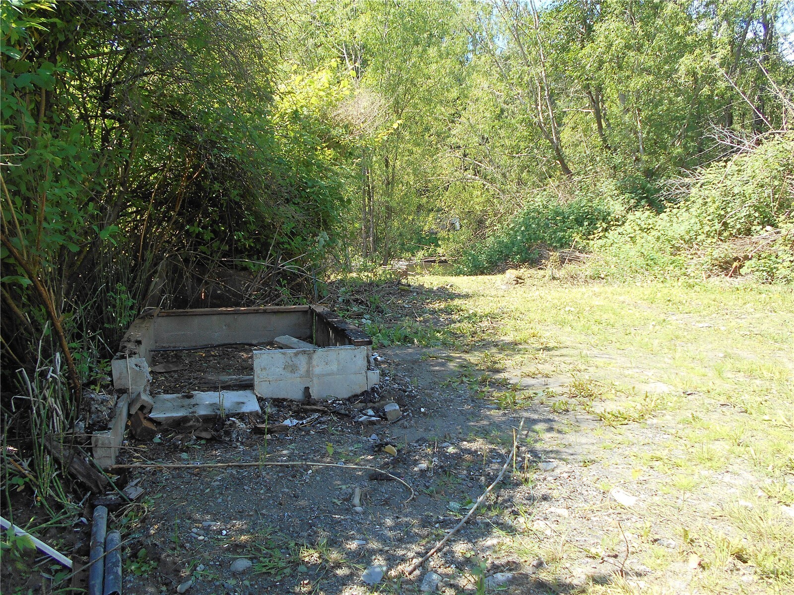 170 Kelly Road Brinnon, WA 98320 - Photo 11 of 29 a view of a yard with an outdoor space