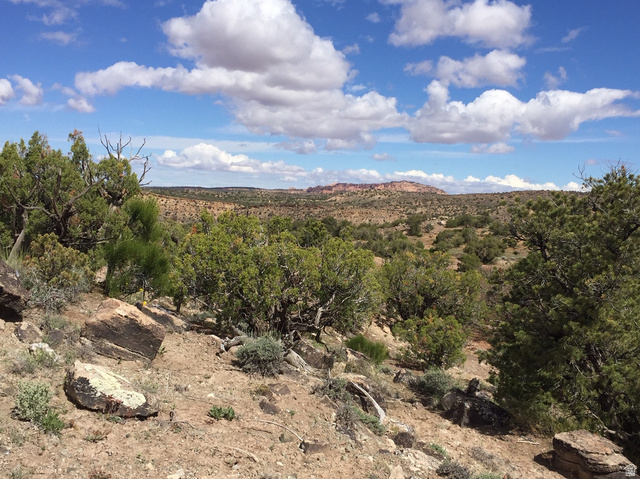 27 West Kane Canyon Dr Ridge, Unit 20 Moab, UT 84532 - Photo 6 of 19 View of mountain background