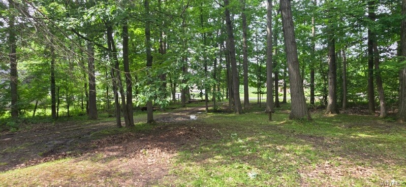 8905 County Road Clarence, NY 14032 - Photo 11 of 46