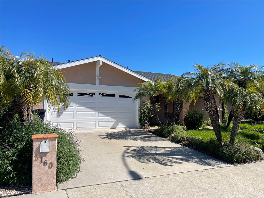 a view of house with palm tree