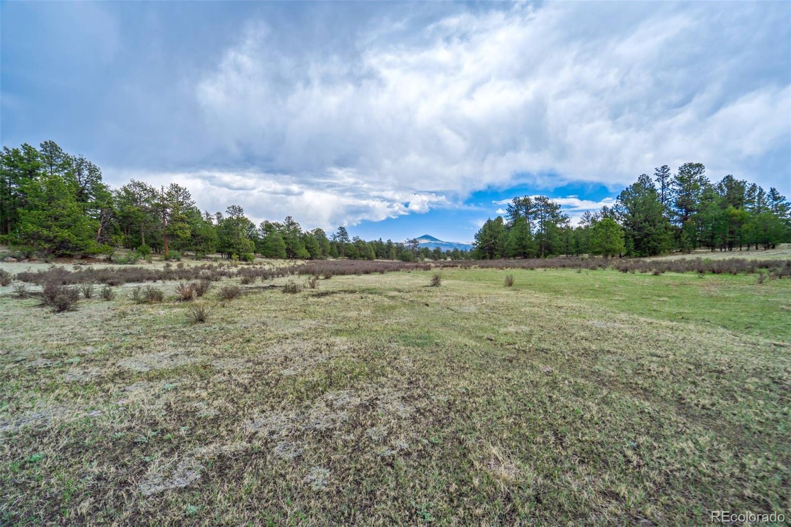103 Doe Valley Road Guffey, CO 80820 - Photo 14 of 46