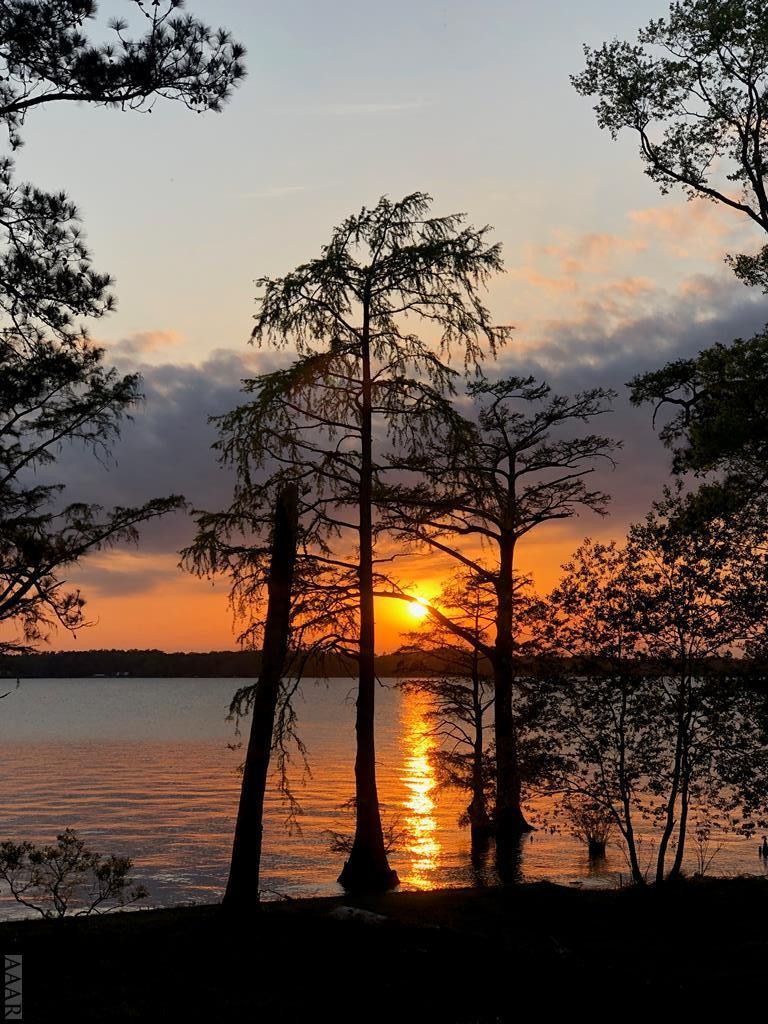 735 River Cottage Road Edenton, NC 27932 - Photo 3 of 35 Phenomenal Sunsets!!!