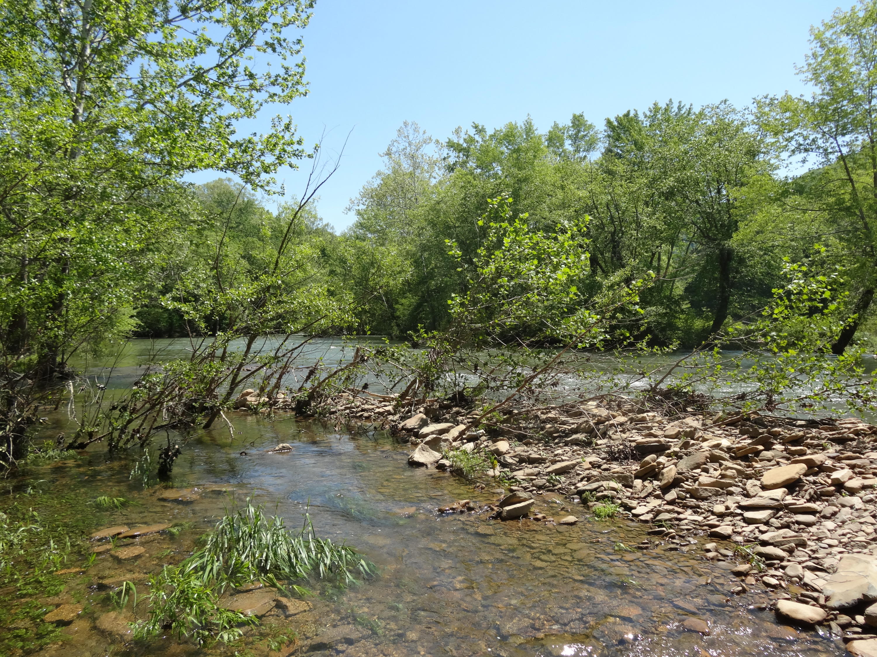 Lot 21 Anthony Ridge Road Frankford, WV 24938 - Photo 24 of 26 Gallery Image 24