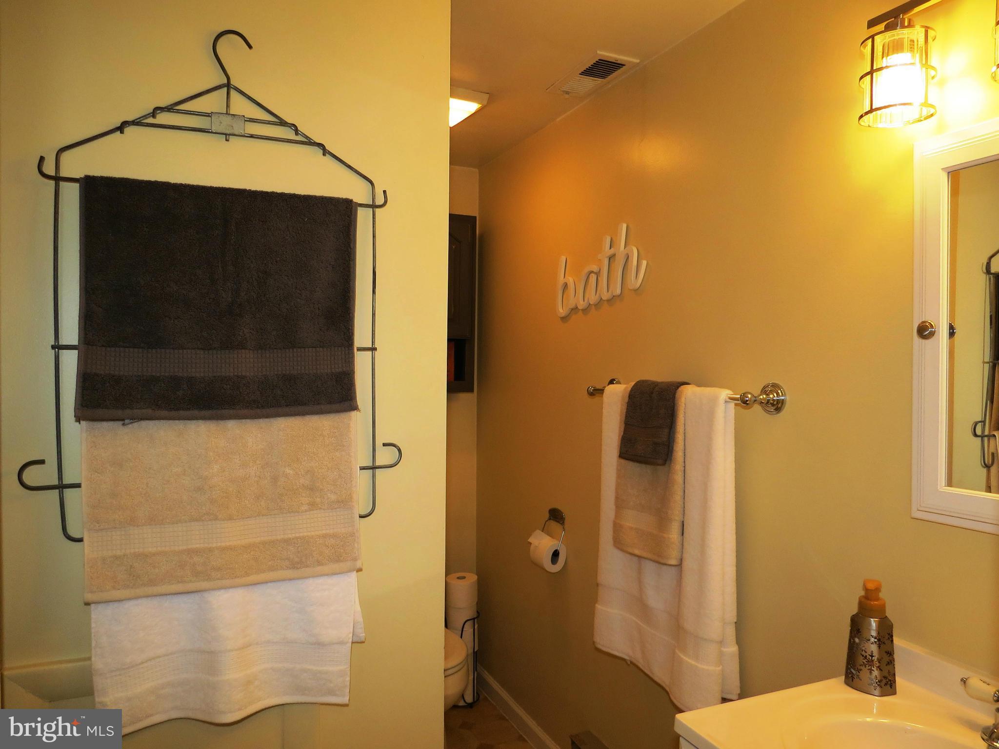 3313 Maple Grove Road Hampstead, MD 21074 - Photo 17 of 30 a bathroom with a shower and a sink