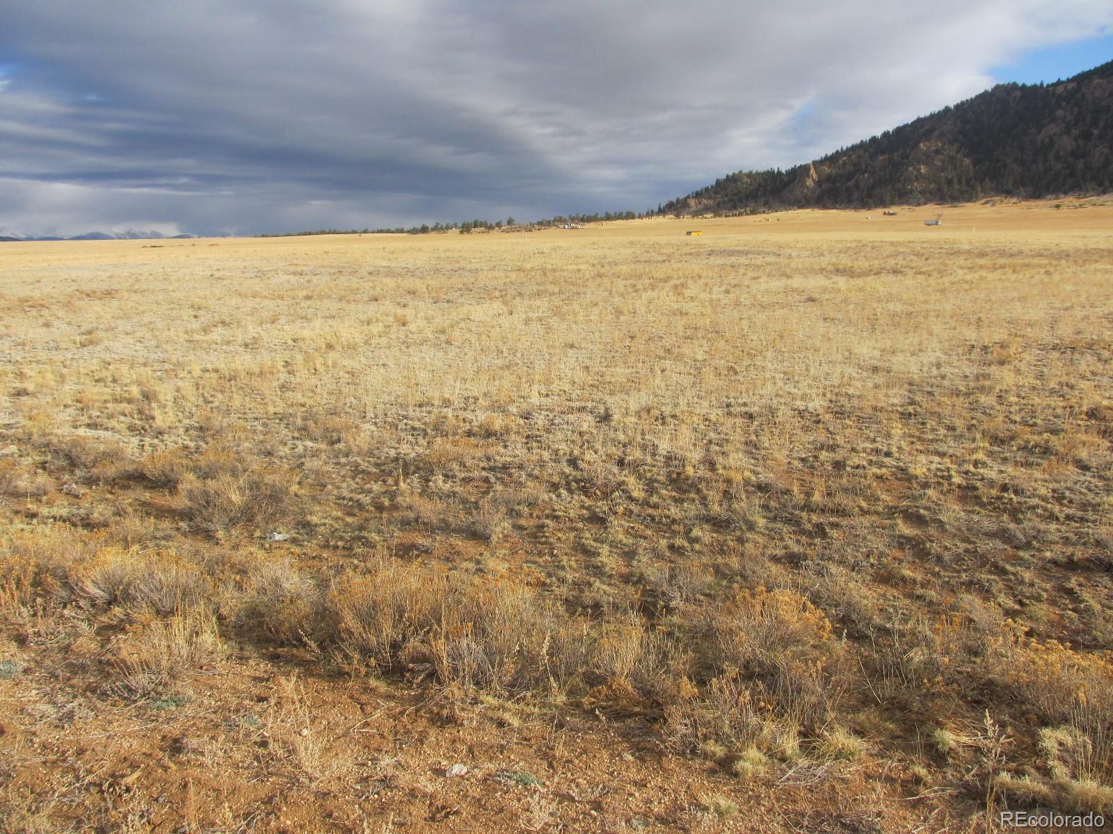 5561 Boulder Road Hartsel, CO 80449 - Photo 3 of 7