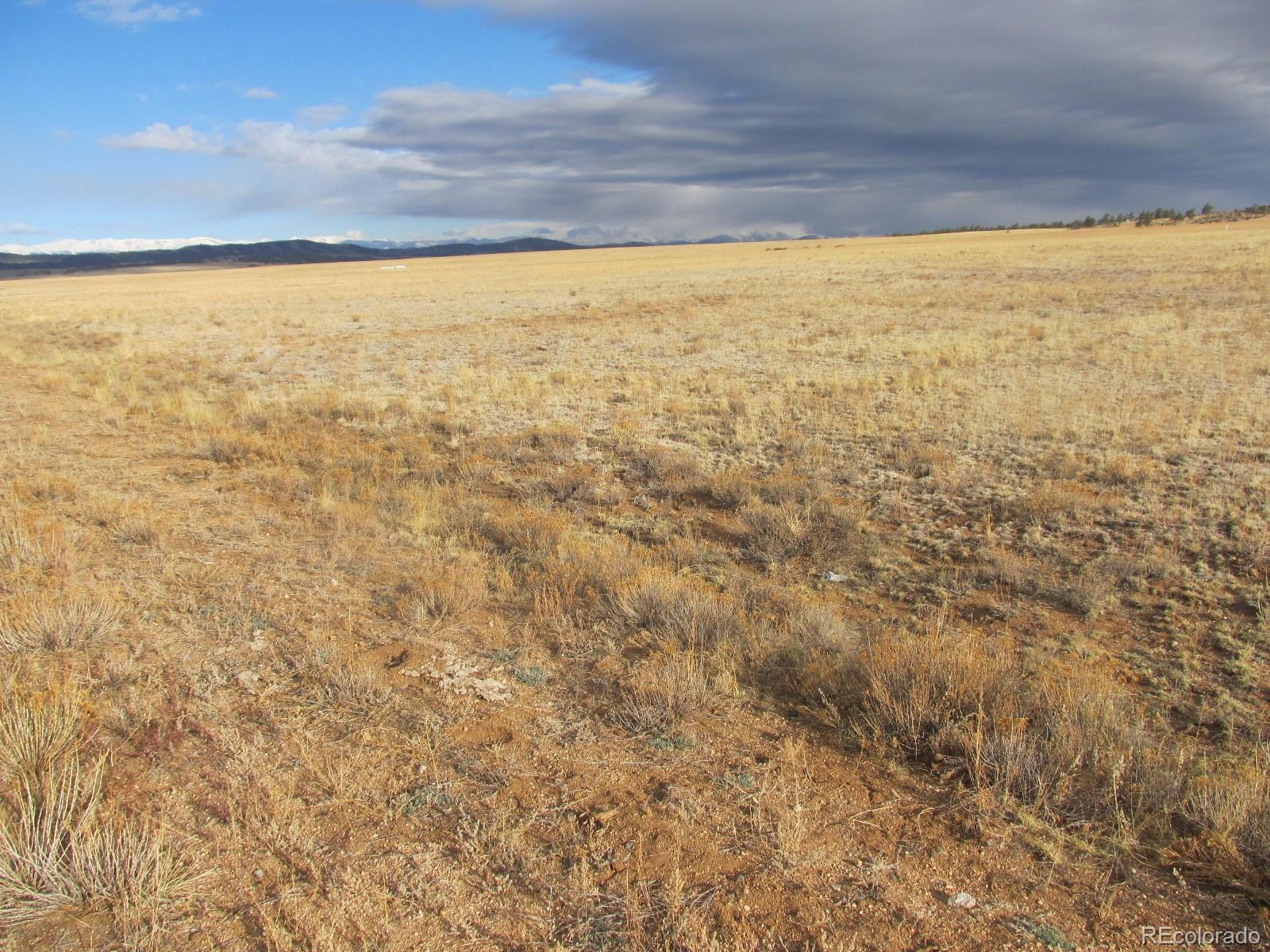 5561 Boulder Road Hartsel, CO 80449 - Photo 5 of 7