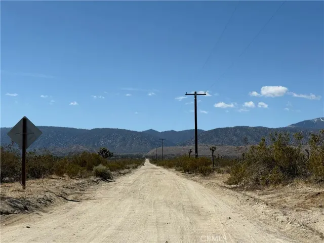 a view of a dry yard with a tree