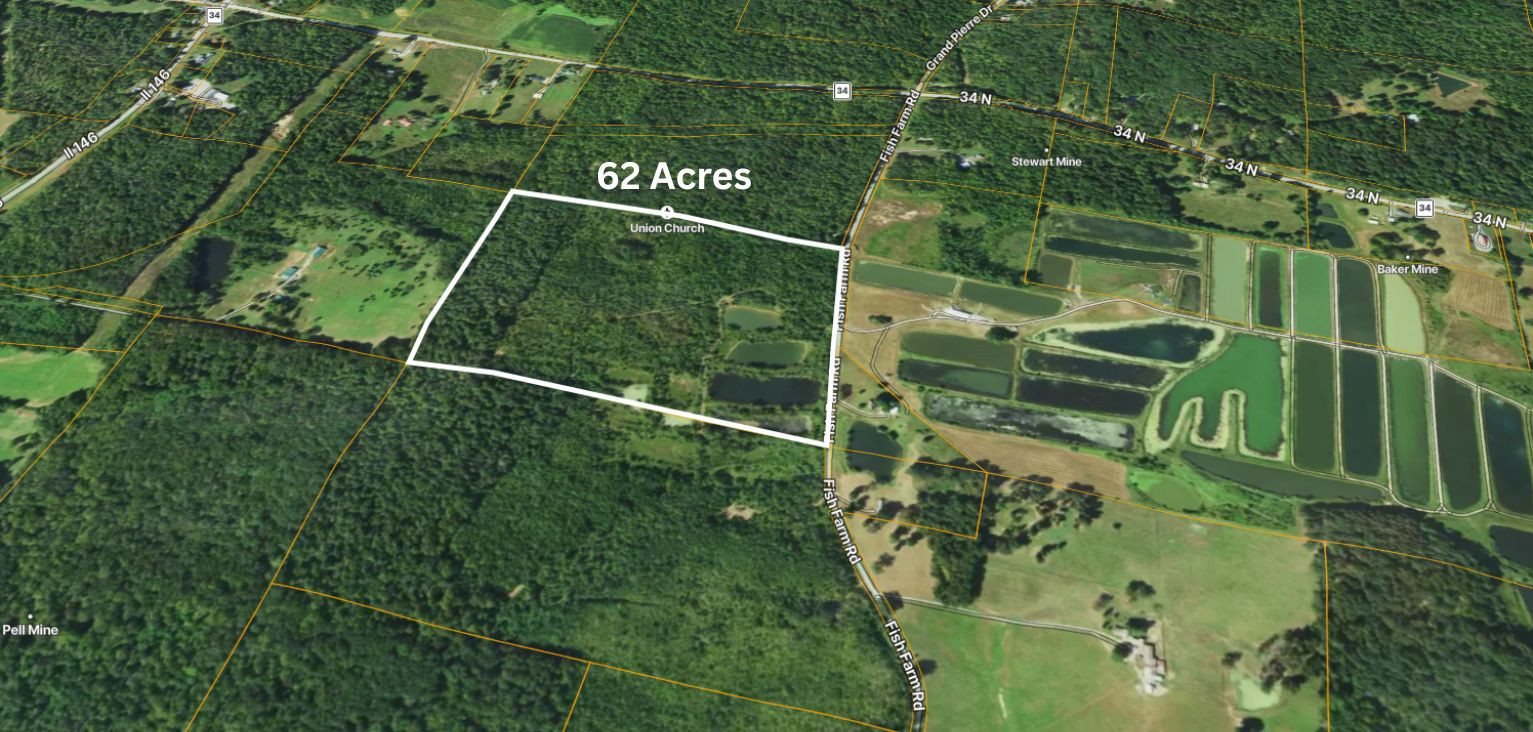 40 Fish Farm Road Golconda, IL 62938 - Photo 6 of 18