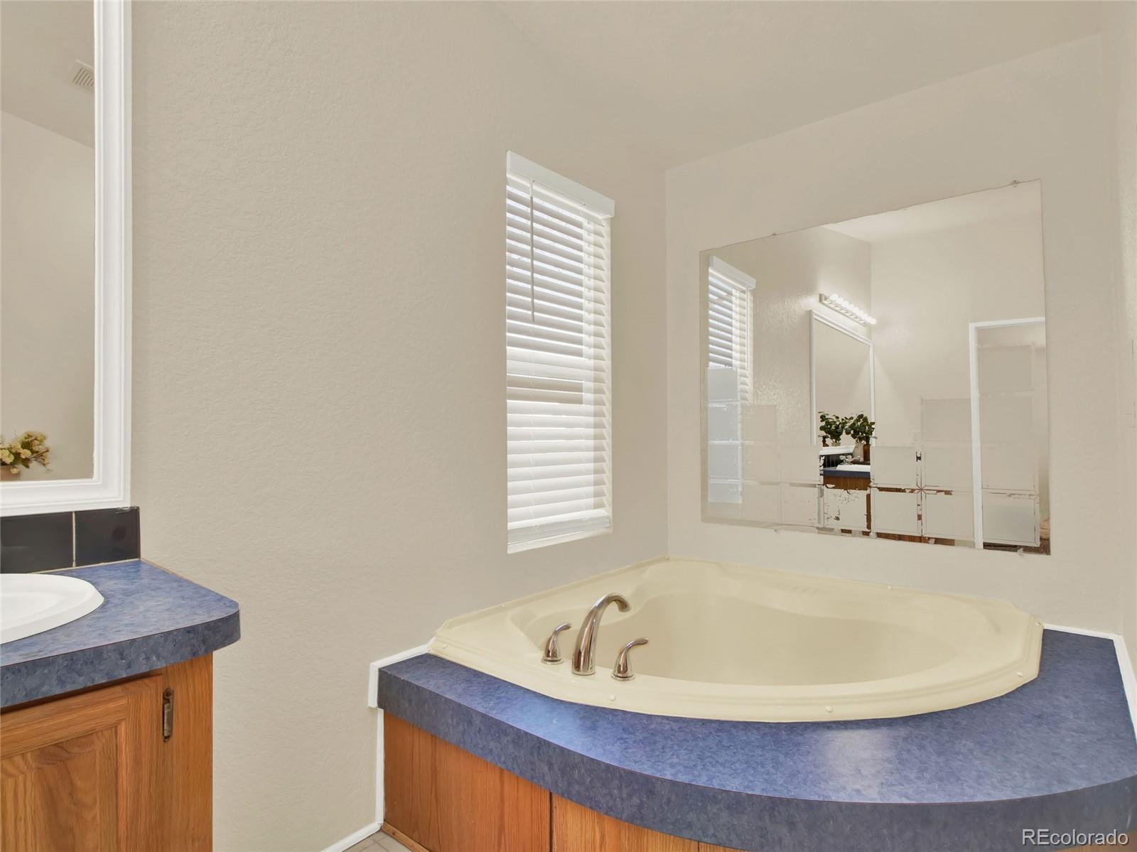 7798 Richard Avenue Fort Lupton, CO 80621 - Photo 21 of 45 a bathroom with a sink and a bathtub