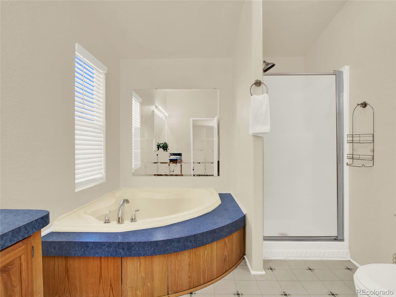 7798 Richard Avenue Fort Lupton, CO 80621 - Photo 22 of 45 a bathroom with a tub and a sink