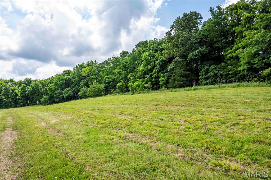 0 Abram Road Hartville, MO 65667 - Photo 49 of 97