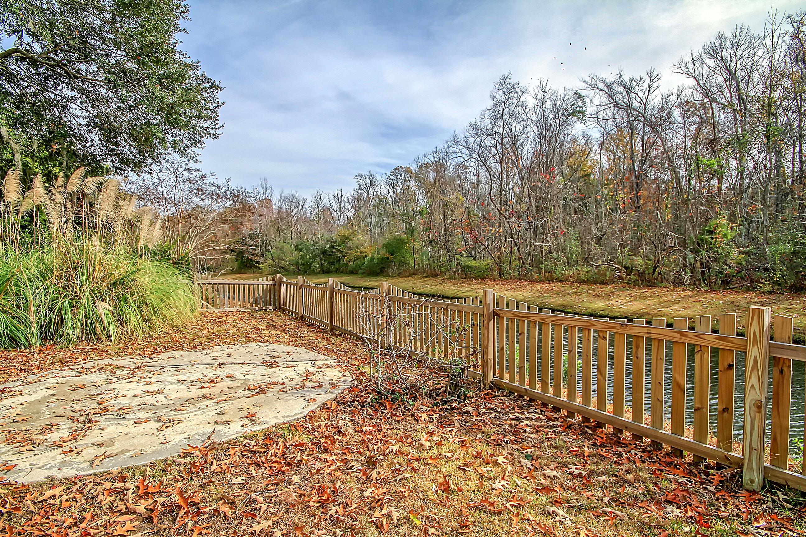 1179 Quick Rabbit Loop Charleston, SC 29414 - Photo 47 of 48 Back yard