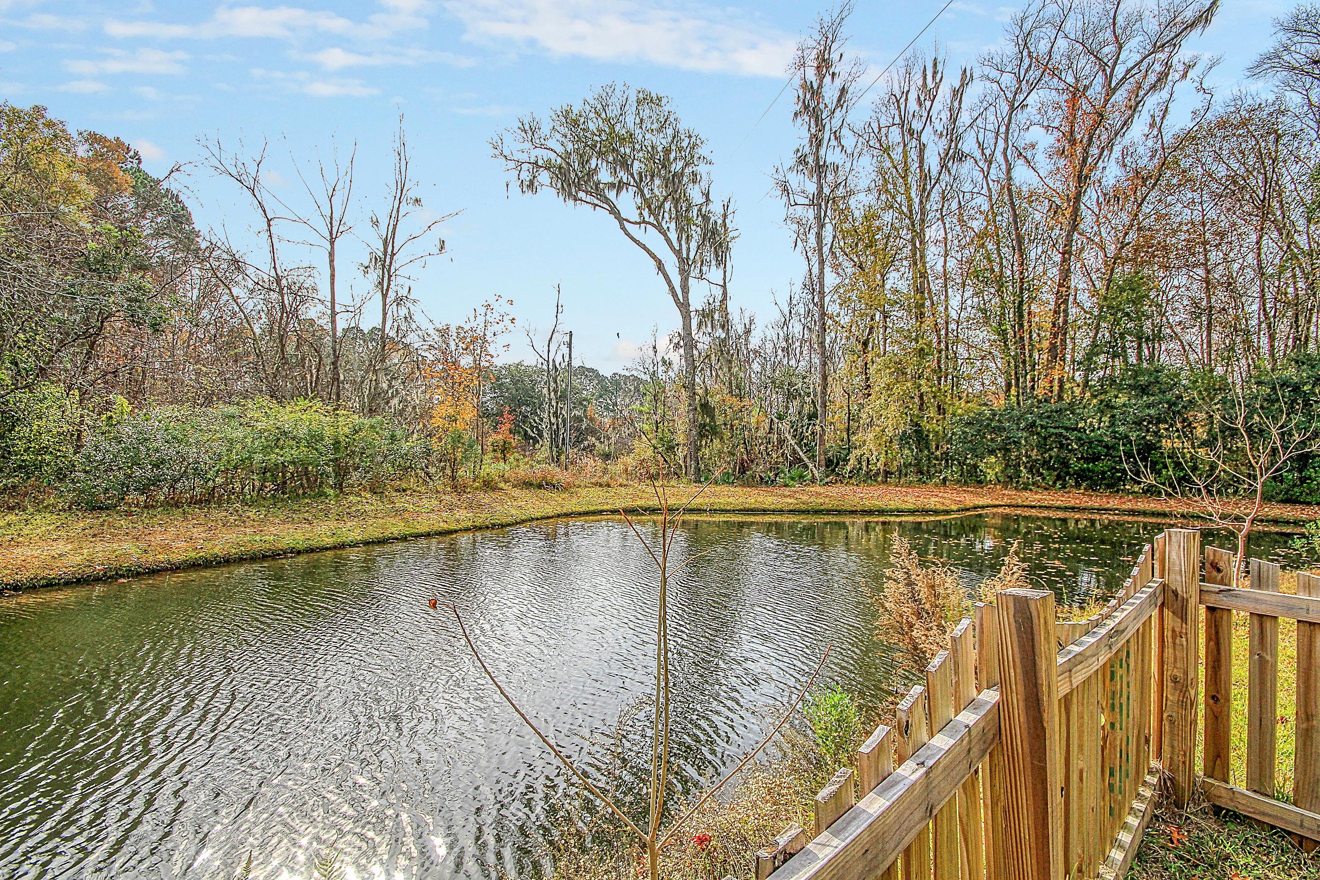 1179 Quick Rabbit Loop Charleston, SC 29414 - Photo 48 of 48 Pond view