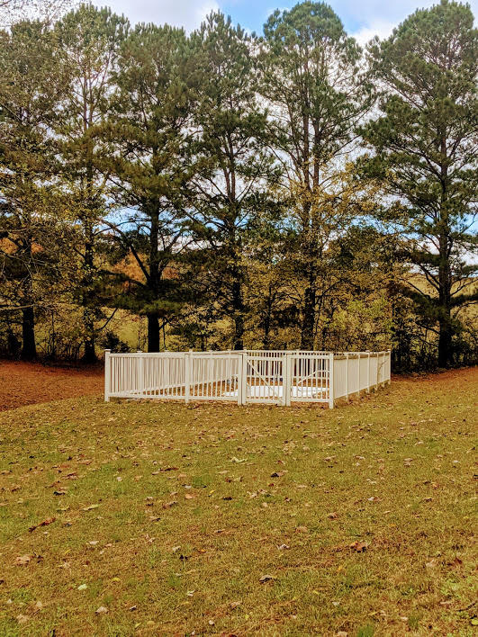939 Sable Road Spring City, TN 37381 - Photo 5 of 20 MVIMG_20191101_104241