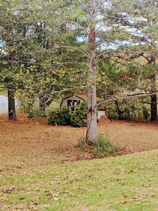 939 Sable Road Spring City, TN 37381 - Photo 6 of 20 MVIMG_20191101_104247