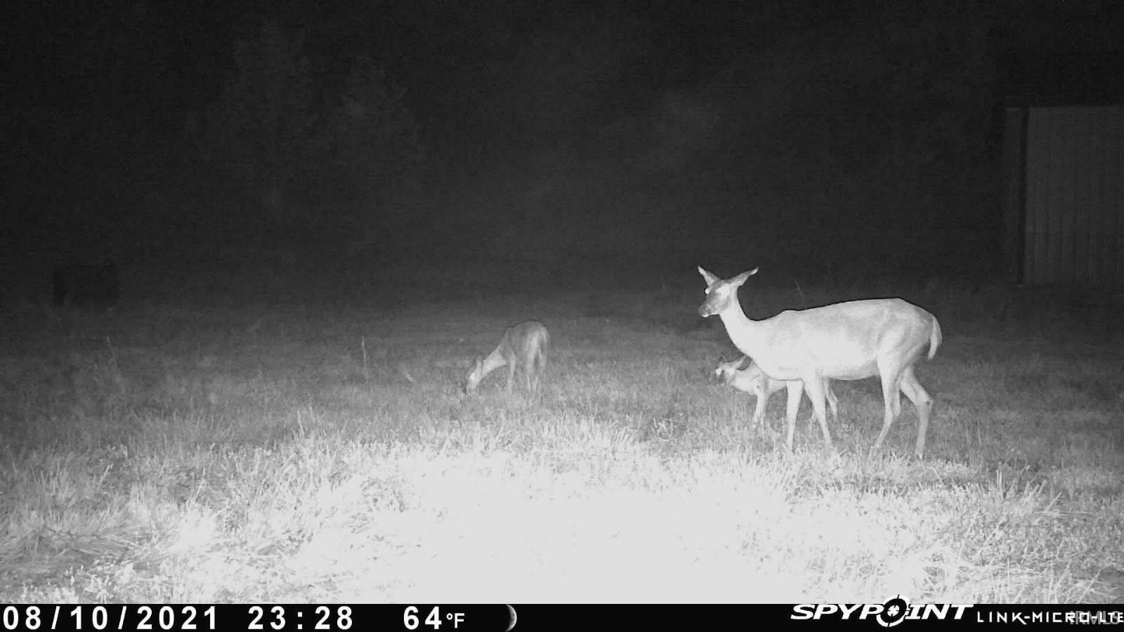 8277 Shiloh Road Boonville, IN 47601 - Photo 27 of 27