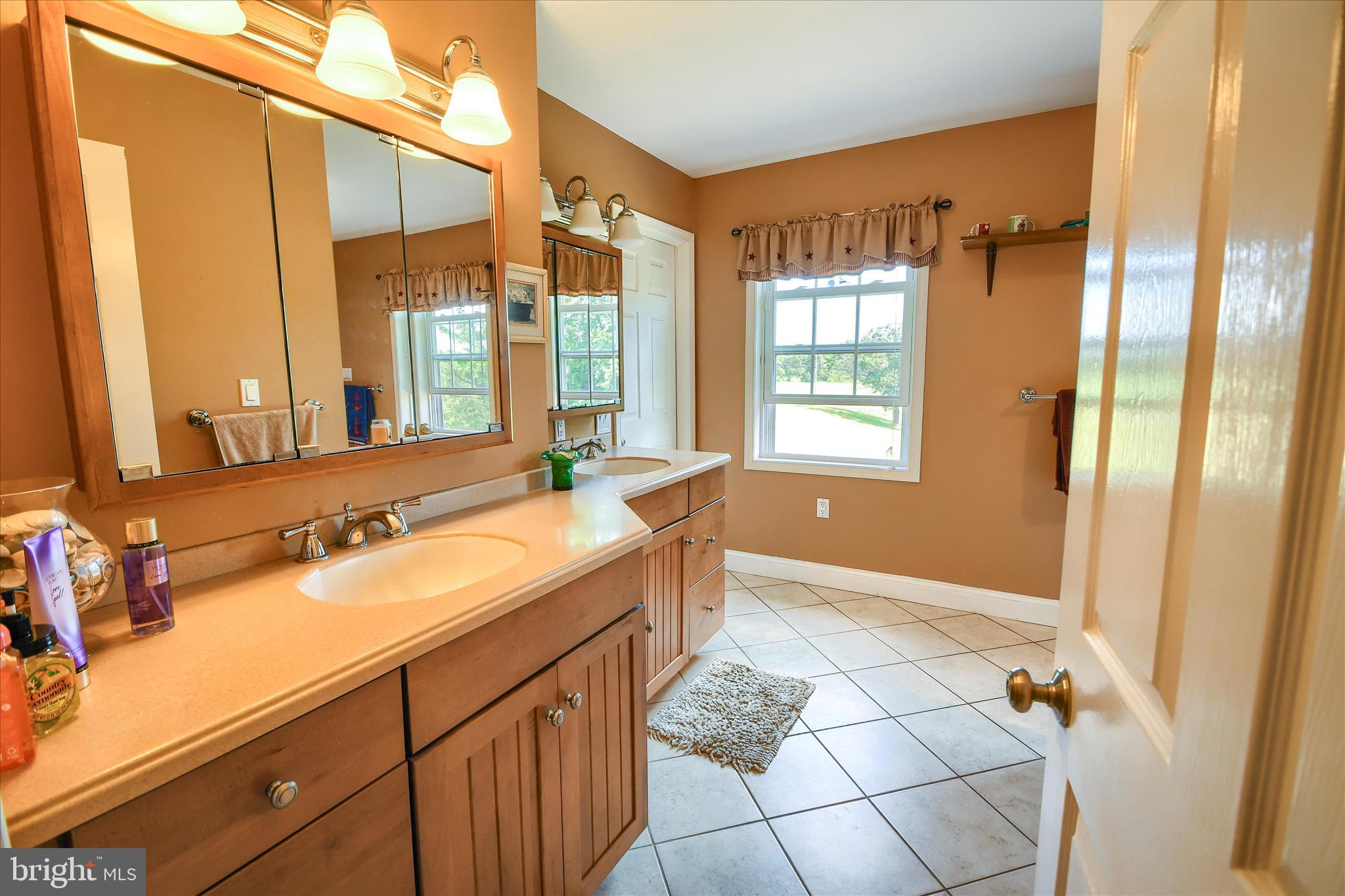 1010 Sweetbriar Road Perkasie, PA 18944 - Photo 23 of 59 a bathroom with a granite countertop sink a mirror and a shower