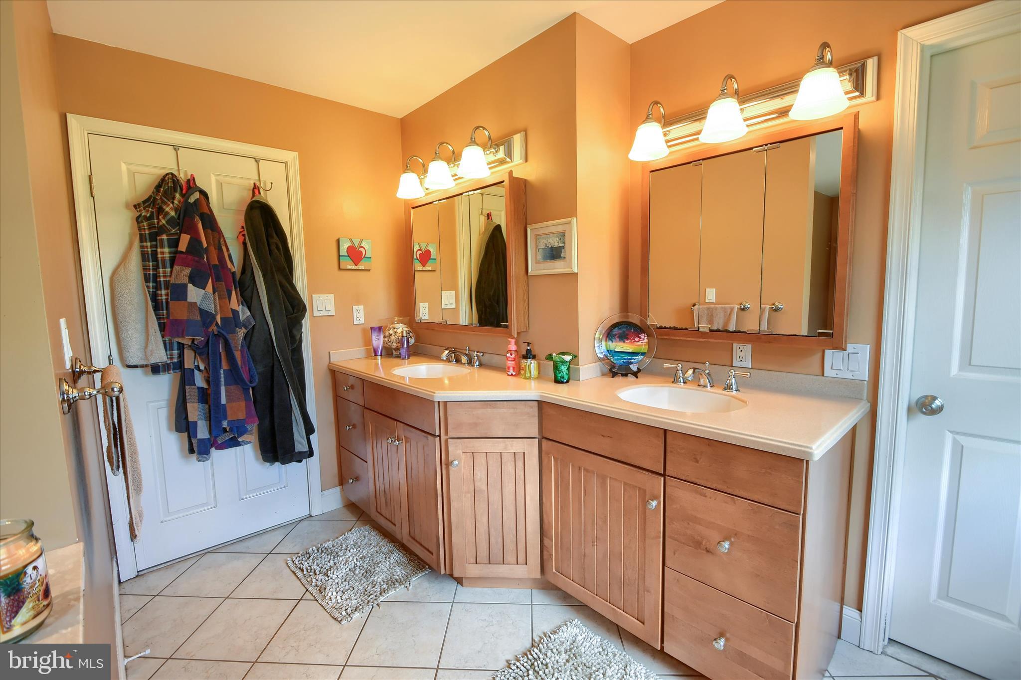 1010 Sweetbriar Road Perkasie, PA 18944 - Photo 24 of 59 a bathroom with a double vanity sink and a mirror