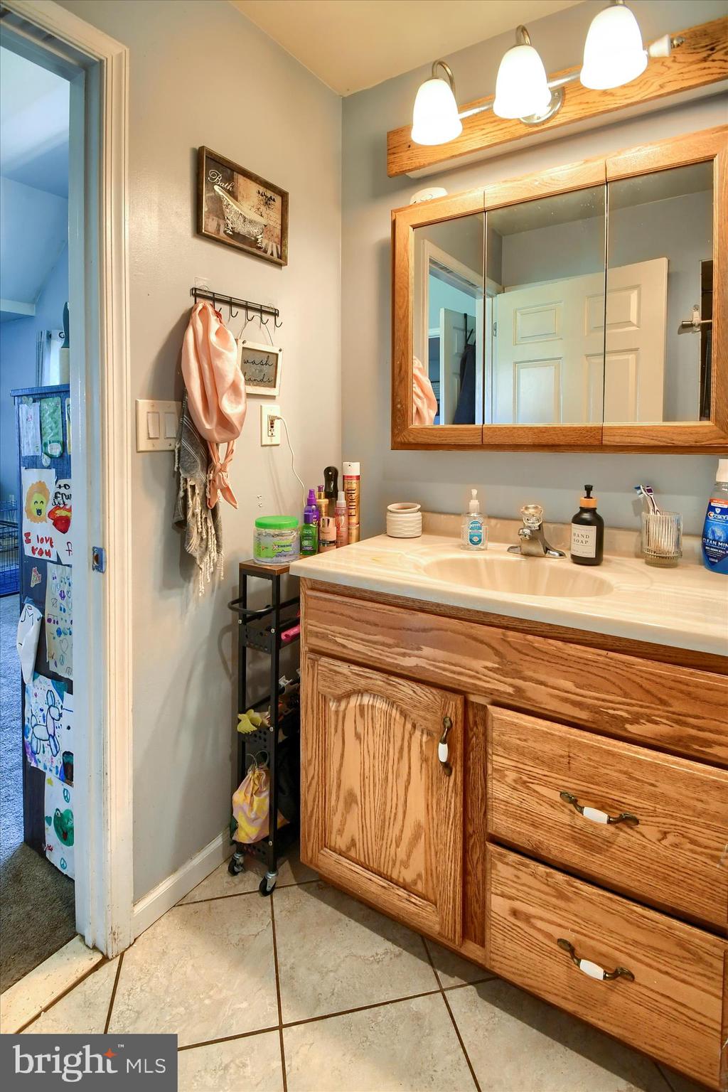 1010 Sweetbriar Road Perkasie, PA 18944 - Photo 31 of 59 a bathroom with a sink and a mirror