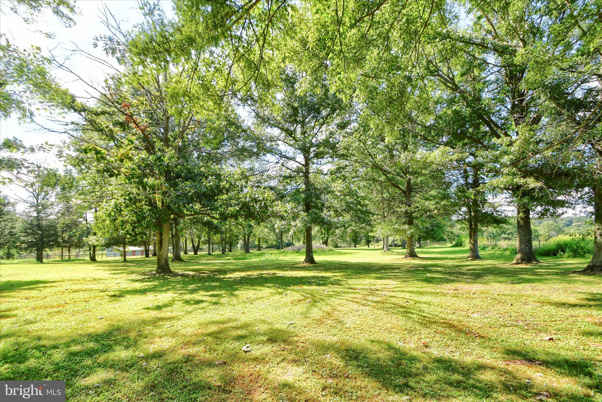 1010 Sweetbriar Road Perkasie, PA 18944 - Photo 51 of 59 Spacious Backyard