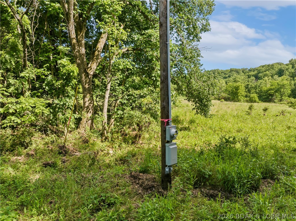 Broads Branch Road Macks Creek, MO 65786 - Photo 6 of 13 Electric on property