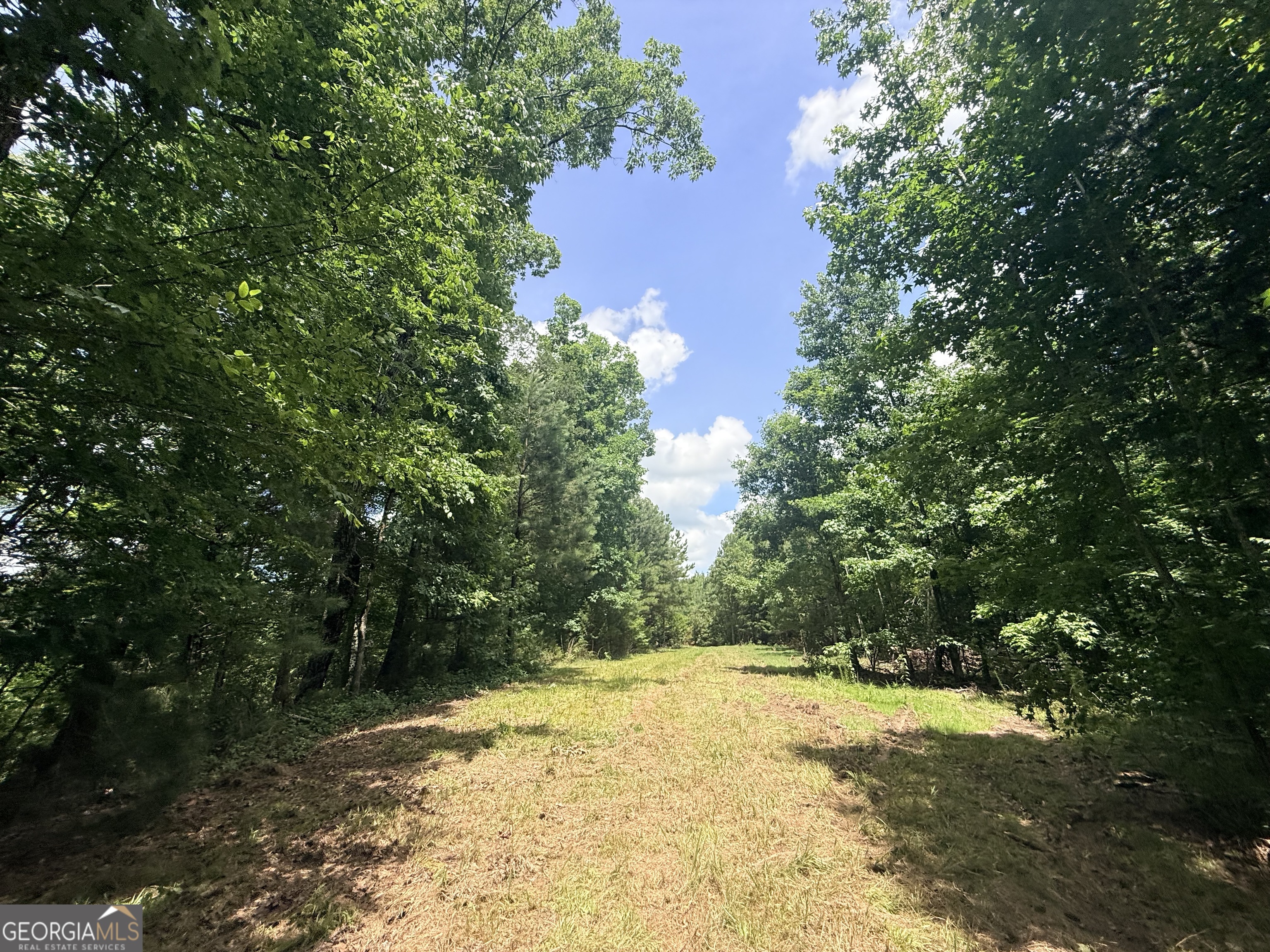 2787 Cedar Creek Road Elberton, GA 30635 - Photo 8 of 88