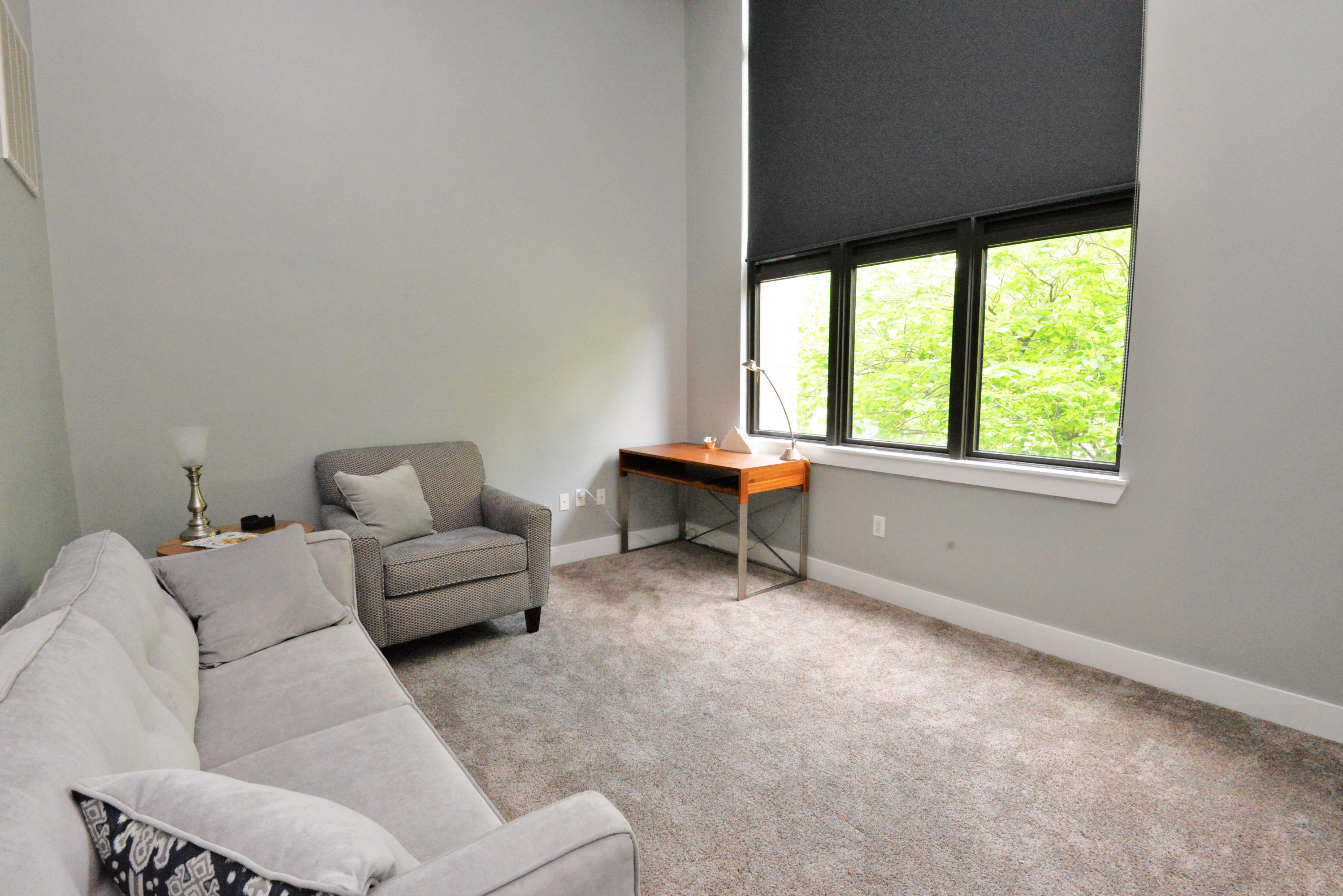 129 Walnut Street, Unit 134 Chattanooga, TN 37403 - Photo 20 of 27 DSC_2816 (2)