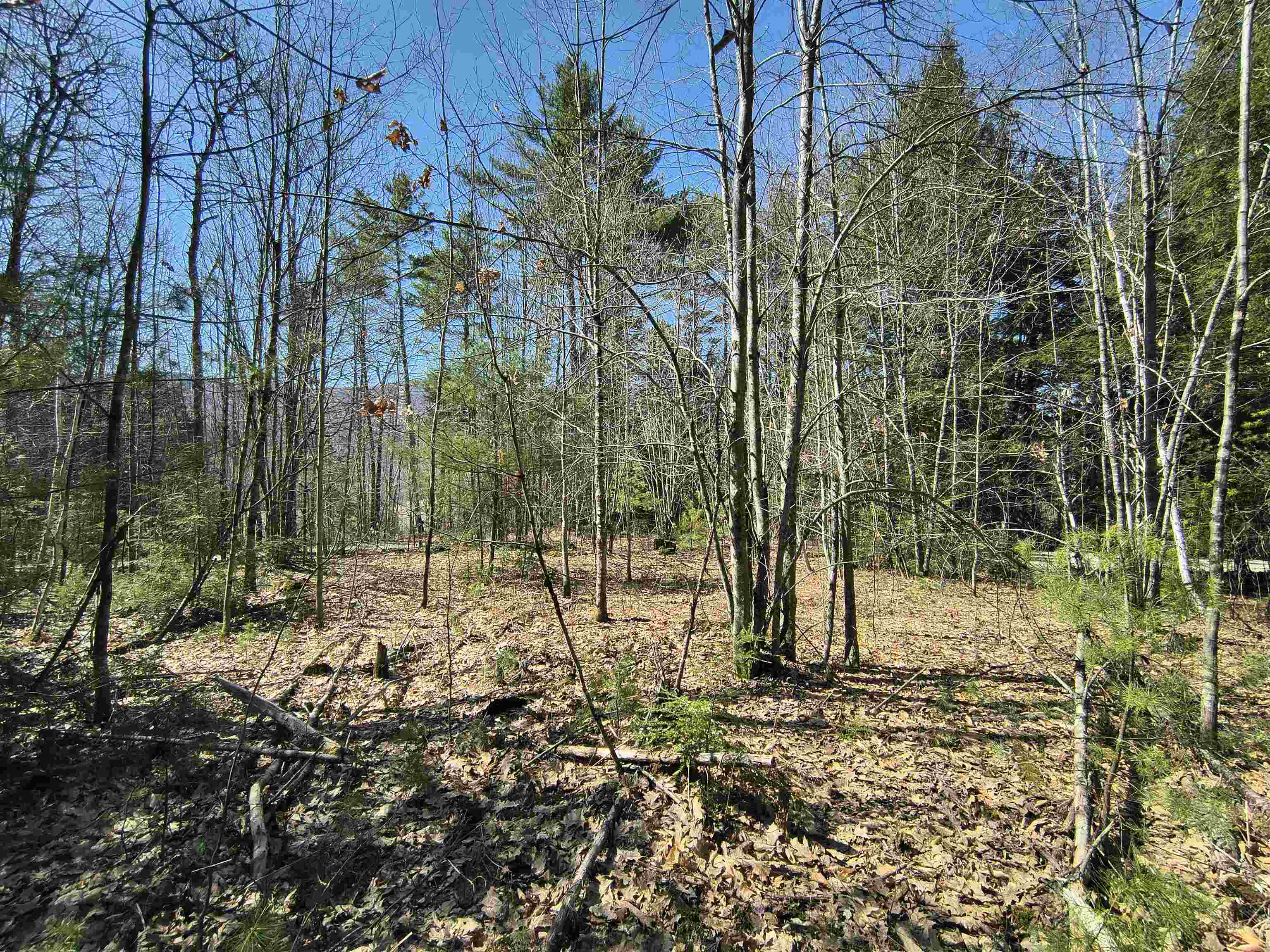 0 Littlefield Road Danbury, NH 03230 - Photo 6 of 15 Gallery Image 6
