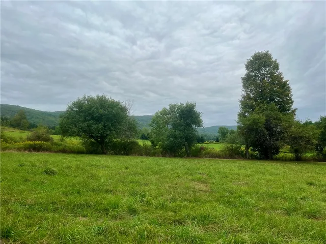 $129,500 | 2724 County Highway, Schenevus, NY 12155