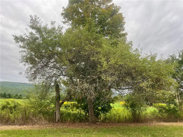 $129,500 | 2724 County Highway, Schenevus, NY 12155