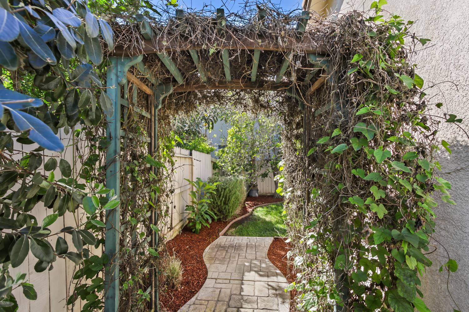 2128 Ragen Place Woodland, CA 95776 - Photo 32 of 40 a view of a yard with plants