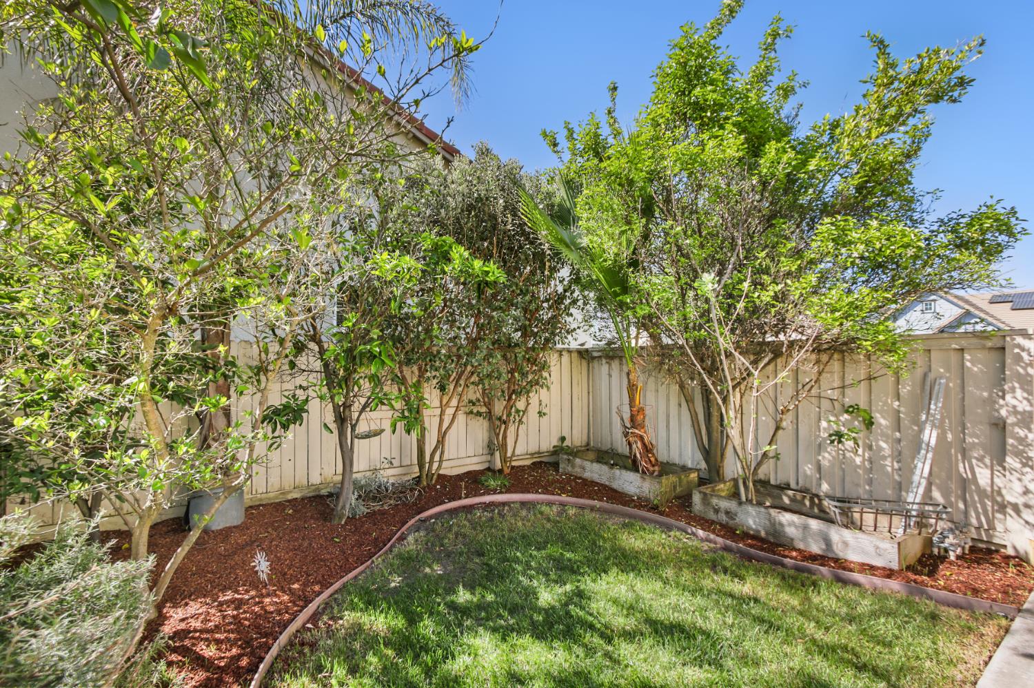 2128 Ragen Place Woodland, CA 95776 - Photo 33 of 40 a view of backyard with tree
