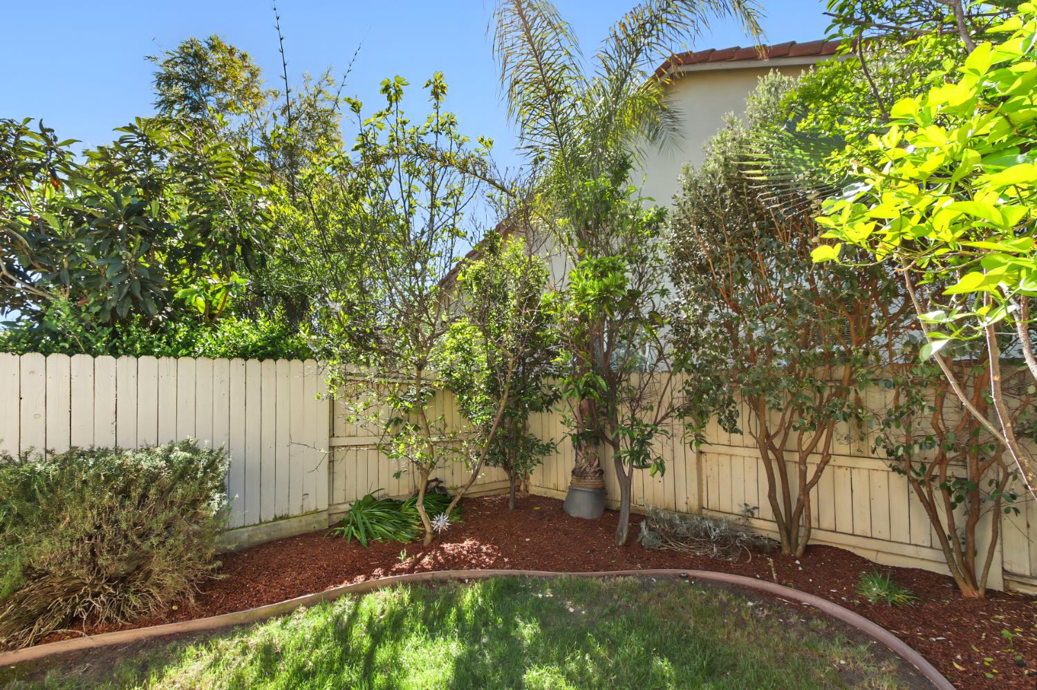 2128 Ragen Place Woodland, CA 95776 - Photo 34 of 40 a view of backyard with green space
