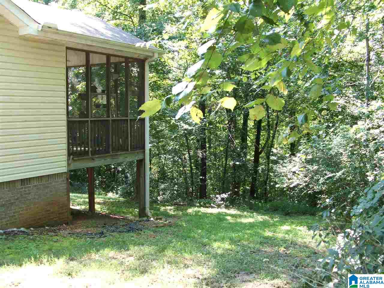 54 John Circle Springville, AL 35146 - Photo 5 of 31