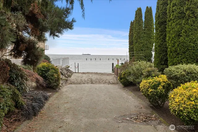 a view of a garden with pathway