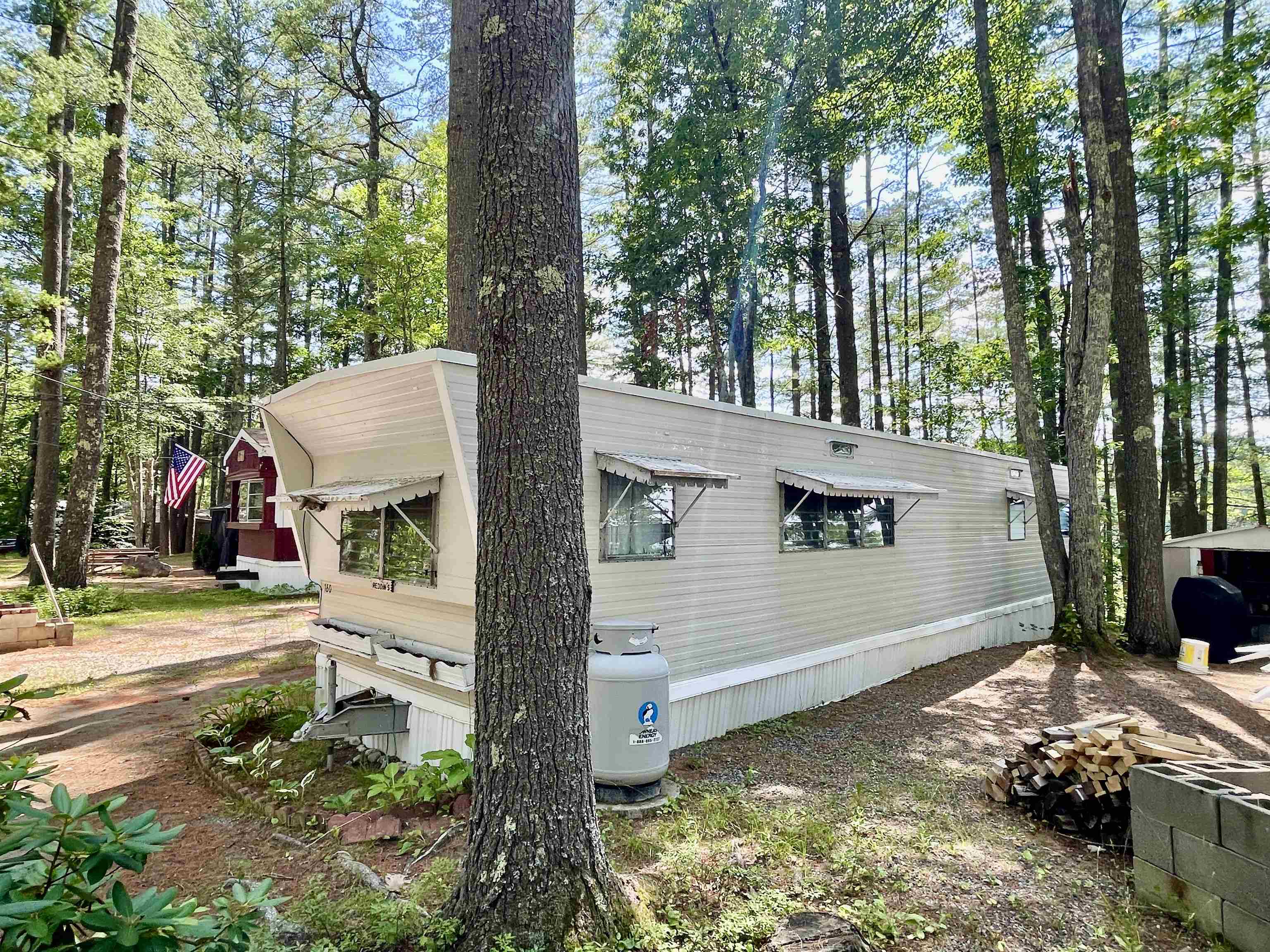 160 Windswept Road Alton, NH 03809 - Photo 3 of 17