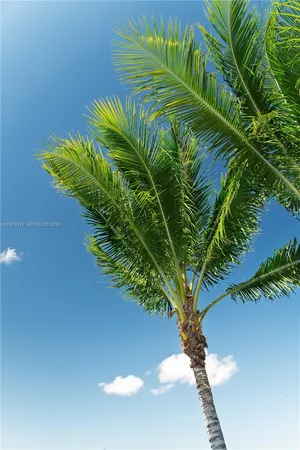 a view of a plant in a garden