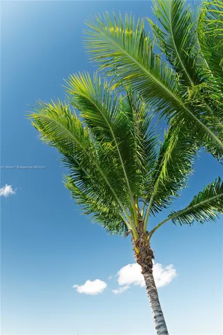 a view of a plant in a garden