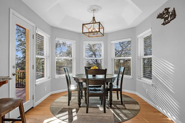 a view of a park with a tree