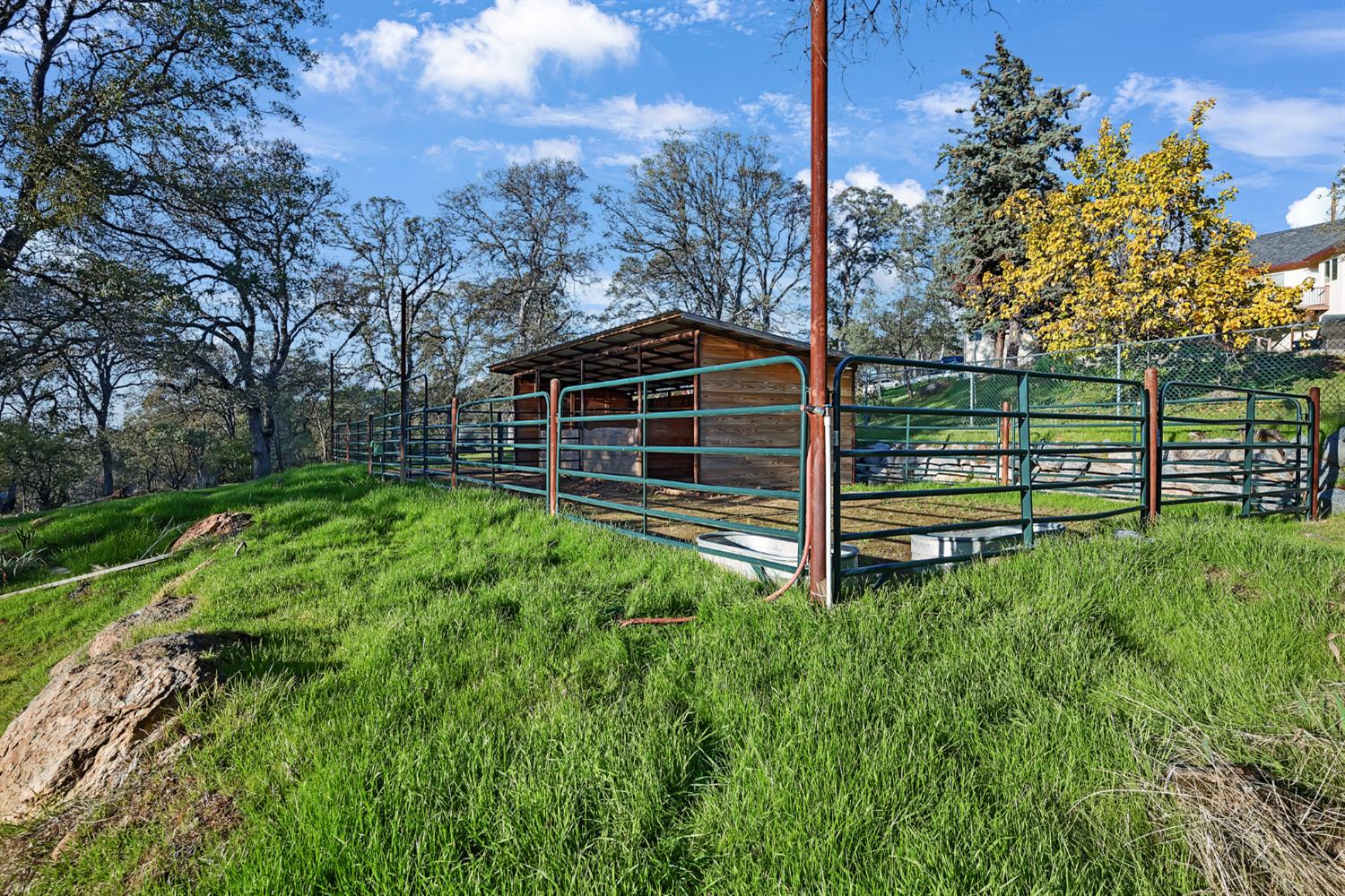 5772 Dragon Springs Road Placerville, CA 95667 - Photo 58 of 85 a backyard of a house with lots of green space
