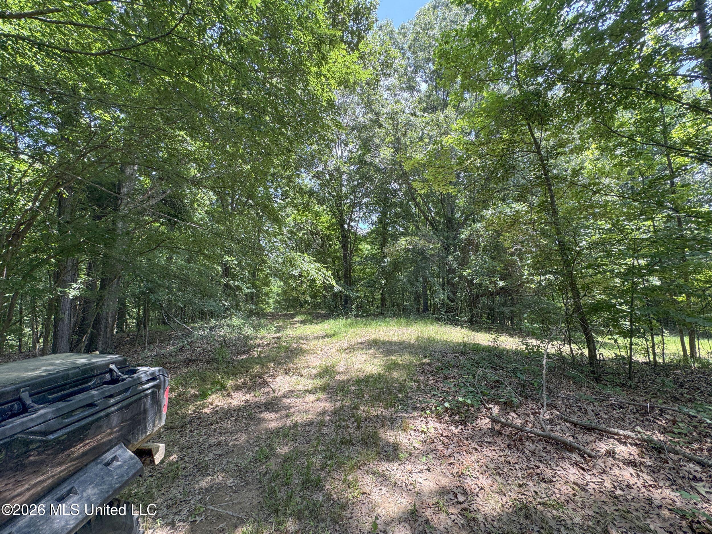 884 Avant Road Crenshaw, MS 38621 - Photo 102 of 154 6dbyicr40