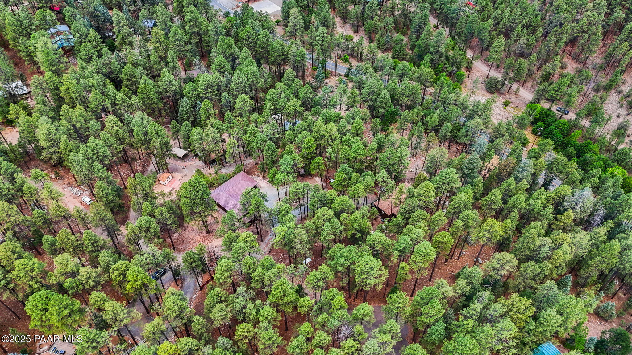 6231 South Champion Way Road Prescott, AZ 86303 - Photo 38 of 43 a view of a lush green forest with lots of trees