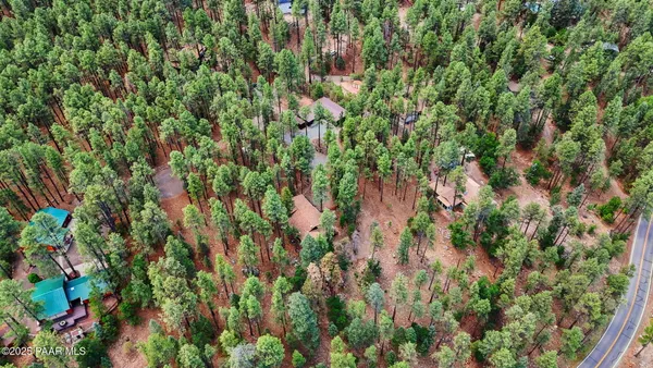a view of a lush green forest