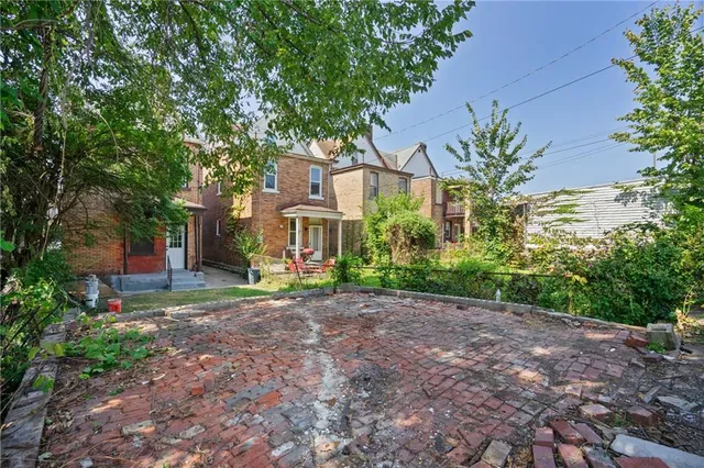 a garden view with tall trees