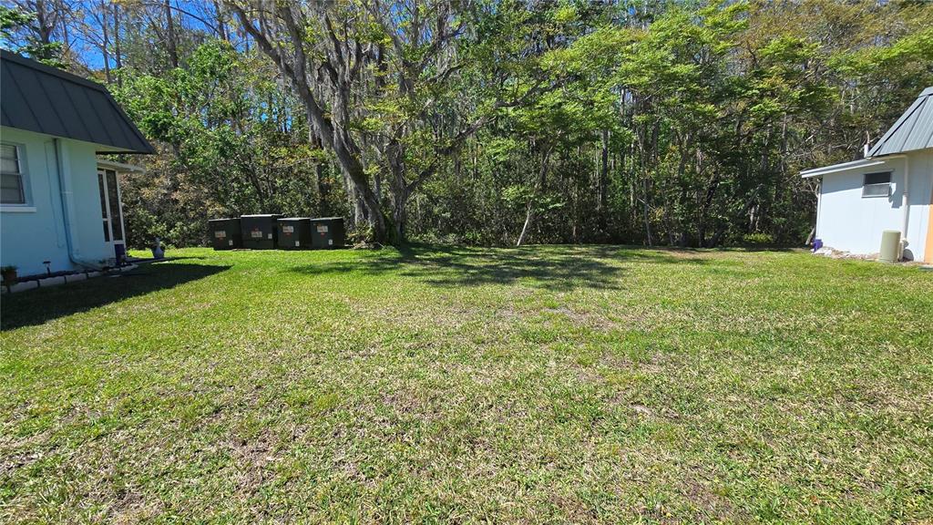 11817 Bayonet Lane New Port Richey, FL 34654 - Photo 14 of 32 a fire hydrant in the middle of a field
