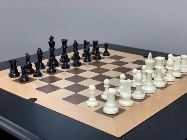 a view of a patio with chairs and plants