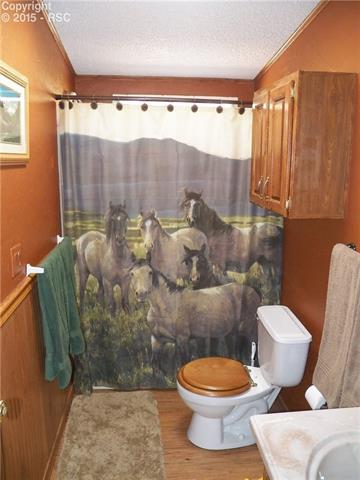 2386 Pathfinder Road Florissant, CO 80816 - Photo 23 of 32 Gallery Image 23